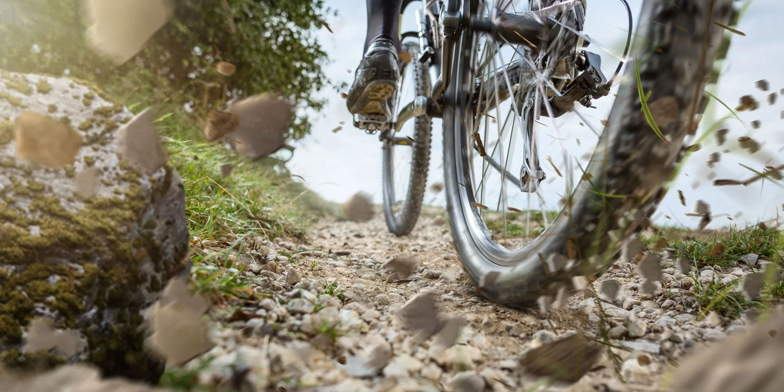Mountainbike & E-Bike