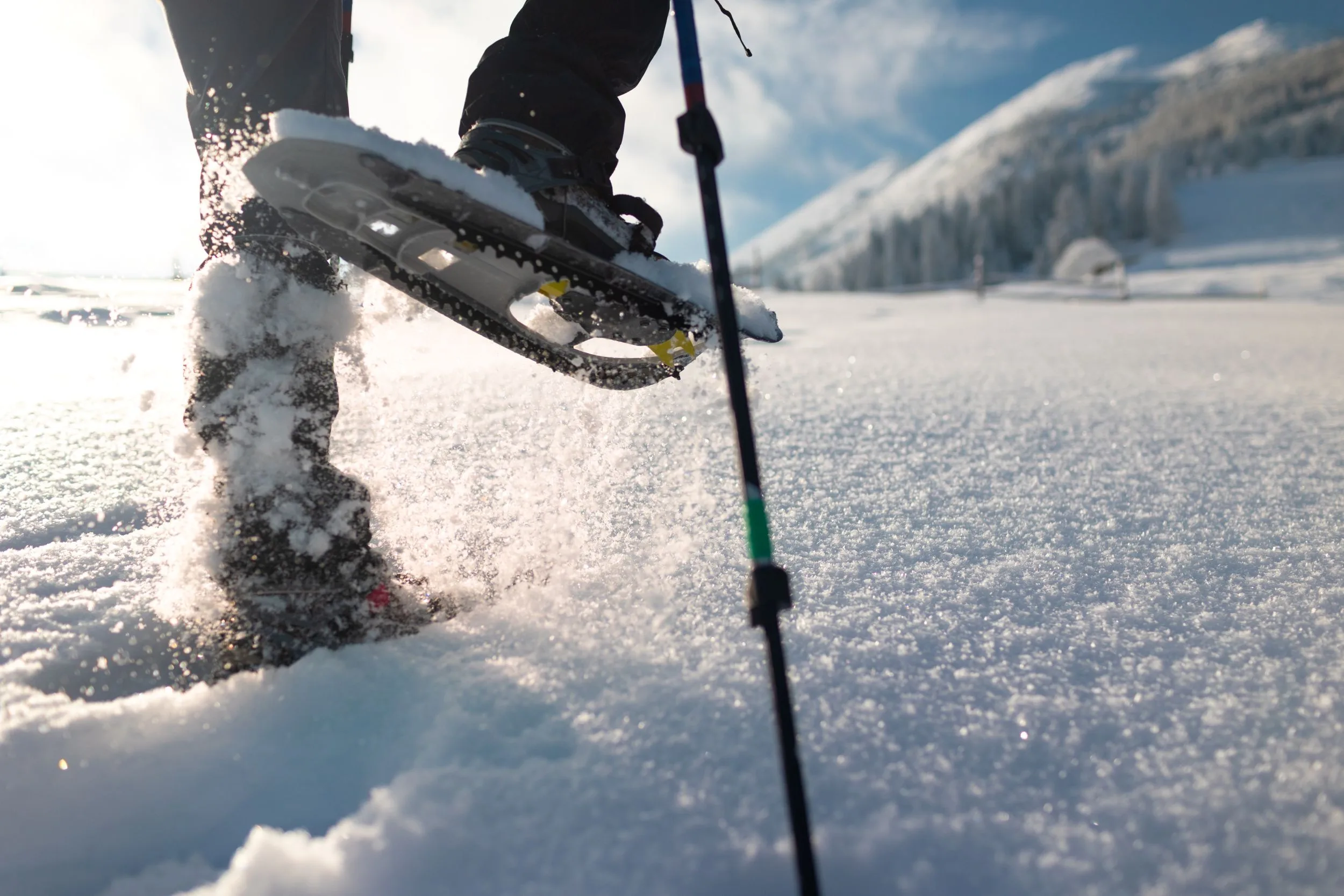 Schneeschuhwandern
